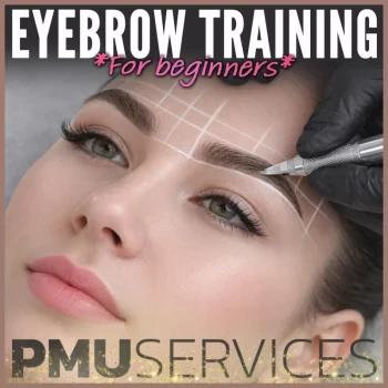 pmu eyebrow training for beginners pmu services pmu training